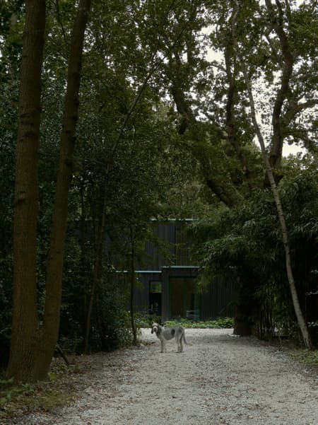 Forest House Oostvoorne
